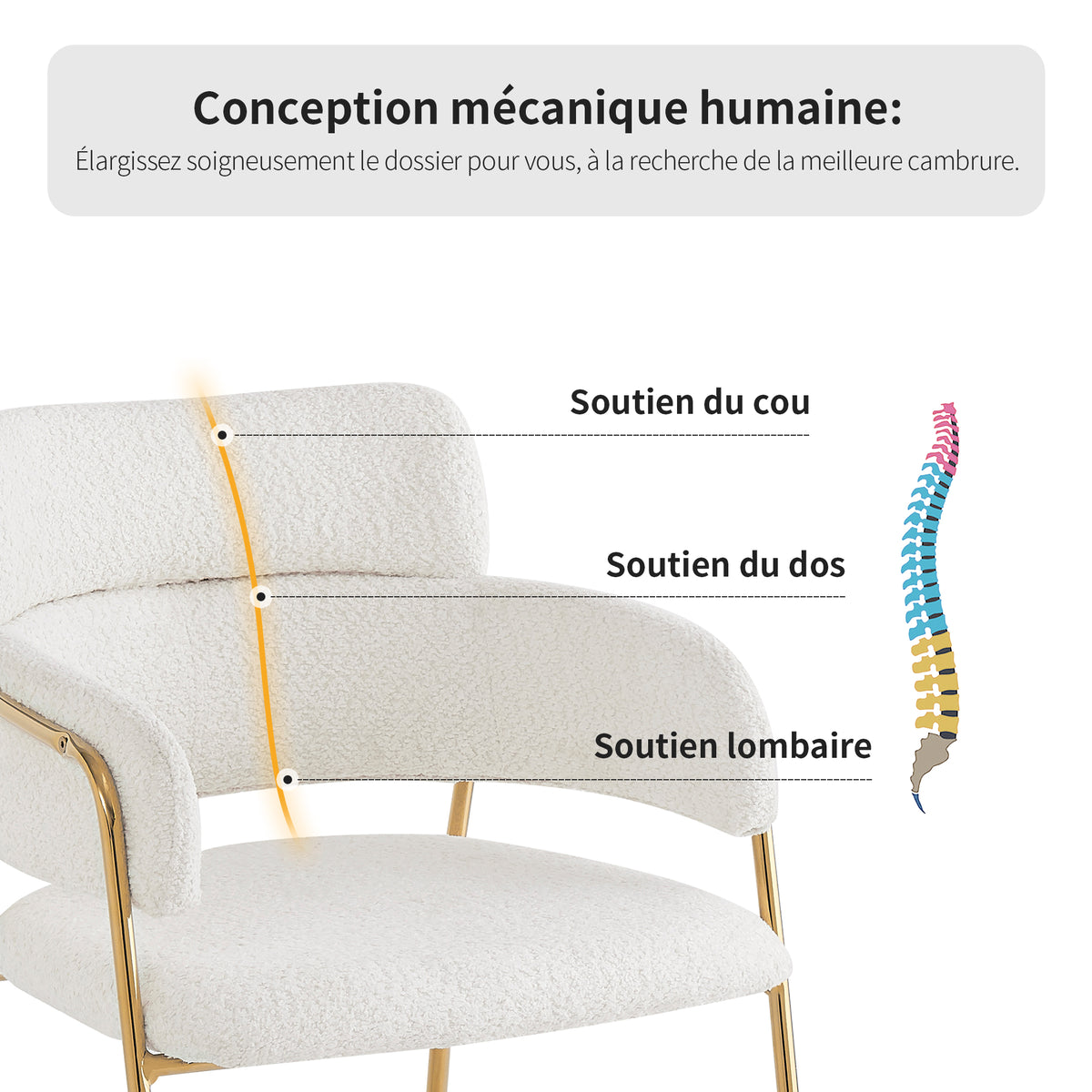 Lot de 6 chaises de salle à manger beiges avec pieds dorés, style moderne